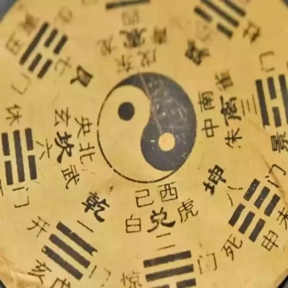 Initiation à la médecine traditionnelle chinoise